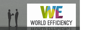 World Efficiency